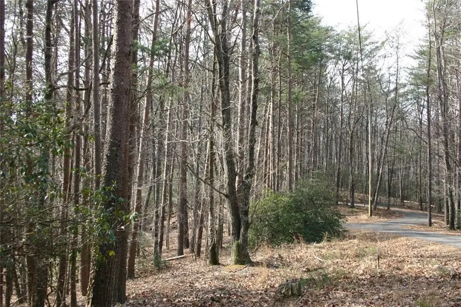 1211 Oglethorpe Mountain Court, Jasper, GA 30143 - #3