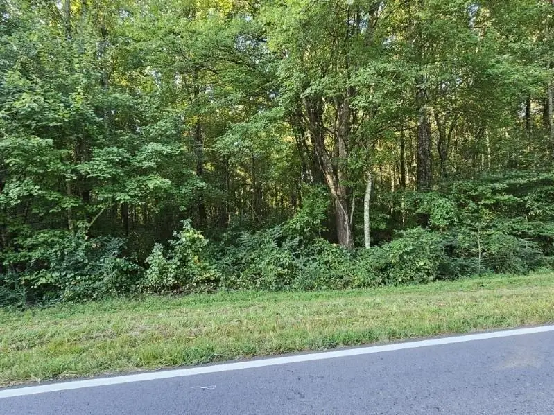 0 Rocky Branch, Villa Rica, GA 30180 - Image #3