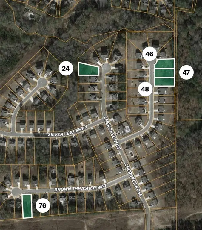 845 Brown Thrasher Way, Bremen, GA 30110 - Image #1