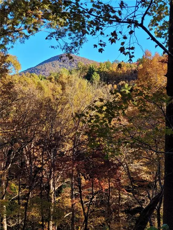 56 Puff Hill Drive, Dahlonega, GA 30533 - Image #1