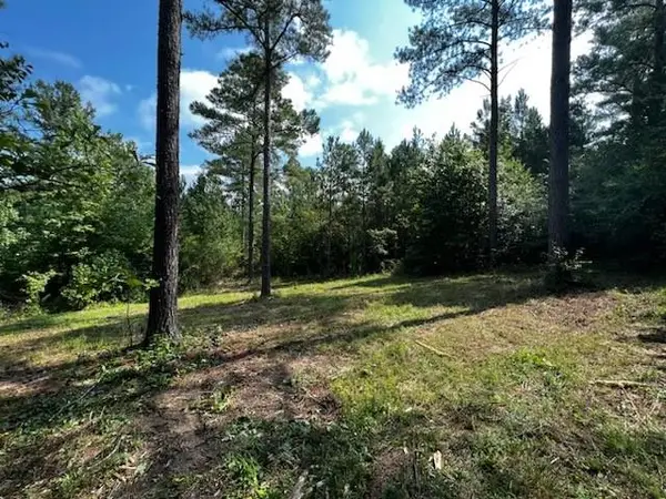 0 Bethel Church #2 Road Se, Silver Creek, GA 30173