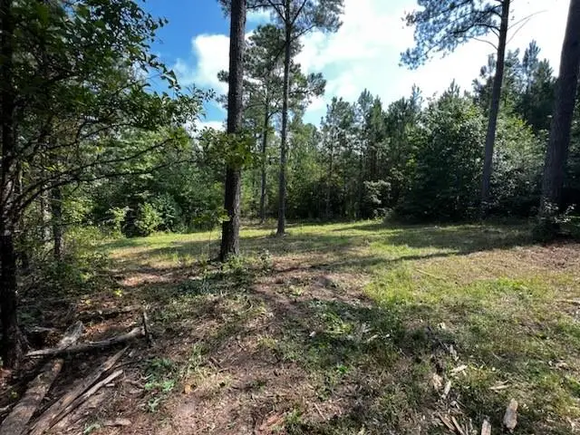 0 Bethel Church #2 Road Se, Silver Creek, GA 30173 - Image #2