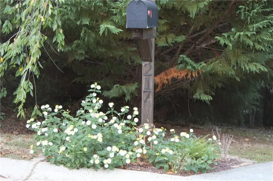 217 Smokestack Ridge, Fairmount, GA 30139 - Image #2