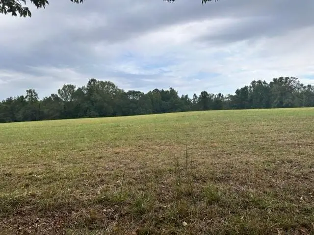 1450 Lee Peters Road, Loganville, GA 30052 - Image #1