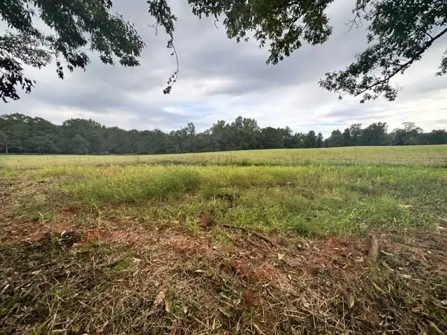 1430 Lee Peters Road, Loganville, GA 30052 - Image #1