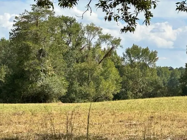 1430 Lee Peters Road, Loganville, GA 30052 - Image #3