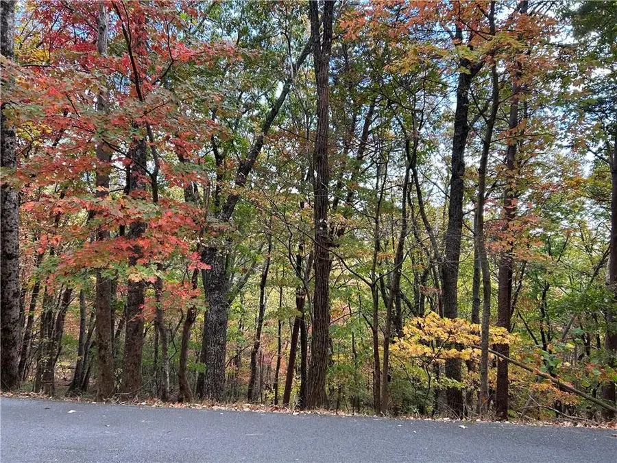 4483 Denny Ridge Road, Jasper, GA 30143 - #2