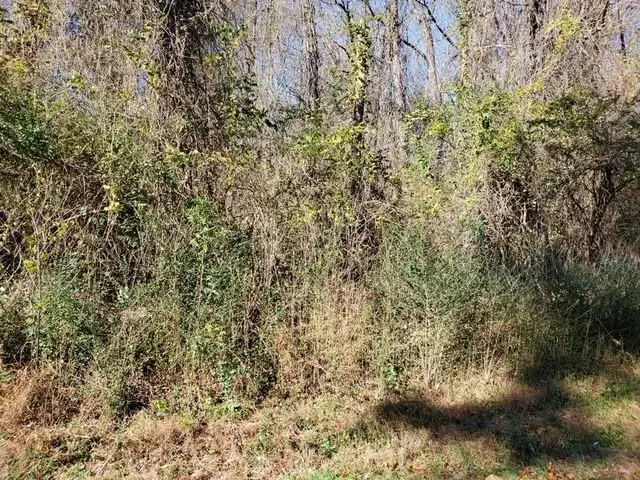 00 Laird Road, Hiram, GA 30141 - Image #3