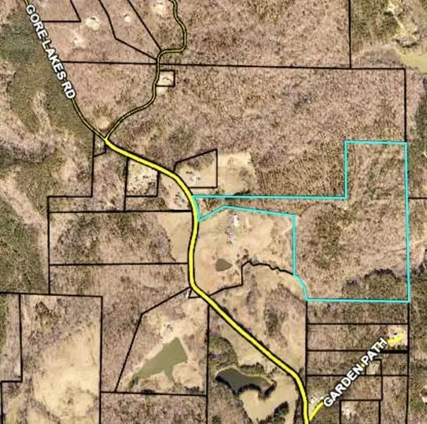 0 Gore Lakes Road, Dallas, GA 30132 - Image #2