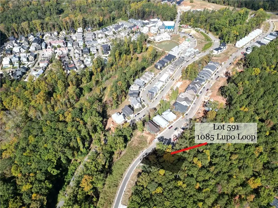 1085 Lupo Loop, Palmetto, GA 30268 - Image #2