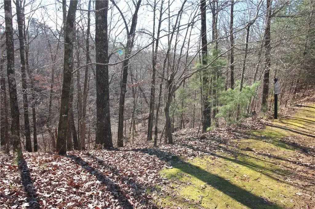 1042 Bruin Court, Dahlonega, GA 30533 - Image #1