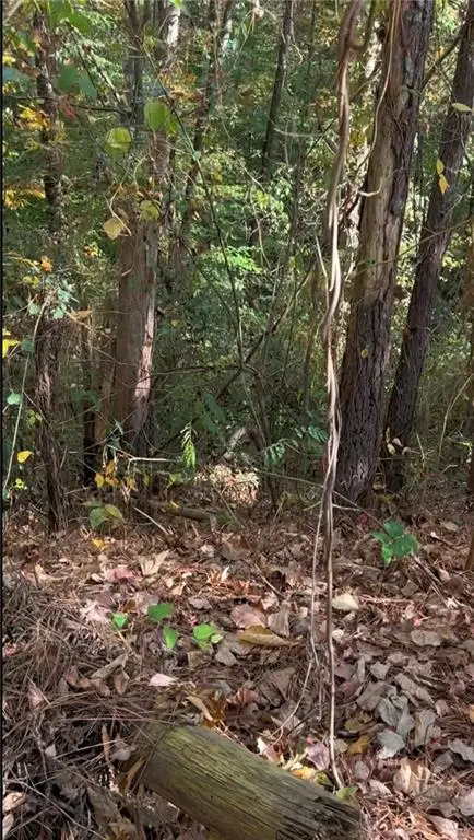 0 Governors Walk, Canton, GA 30114 - #3