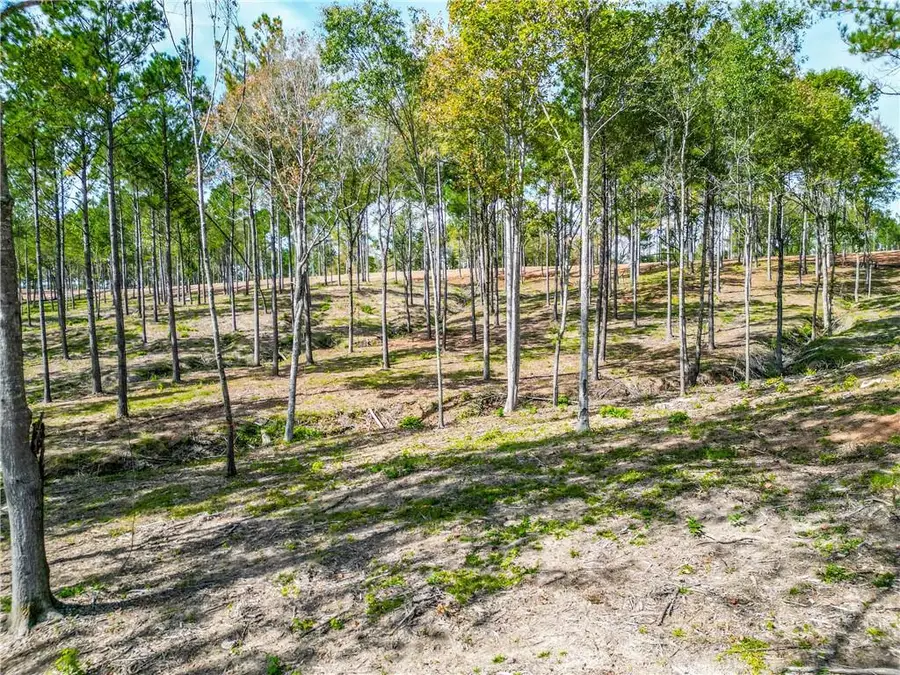 55 The Falls Subdivision Road, Milledgeville, GA 31061 - Image #2