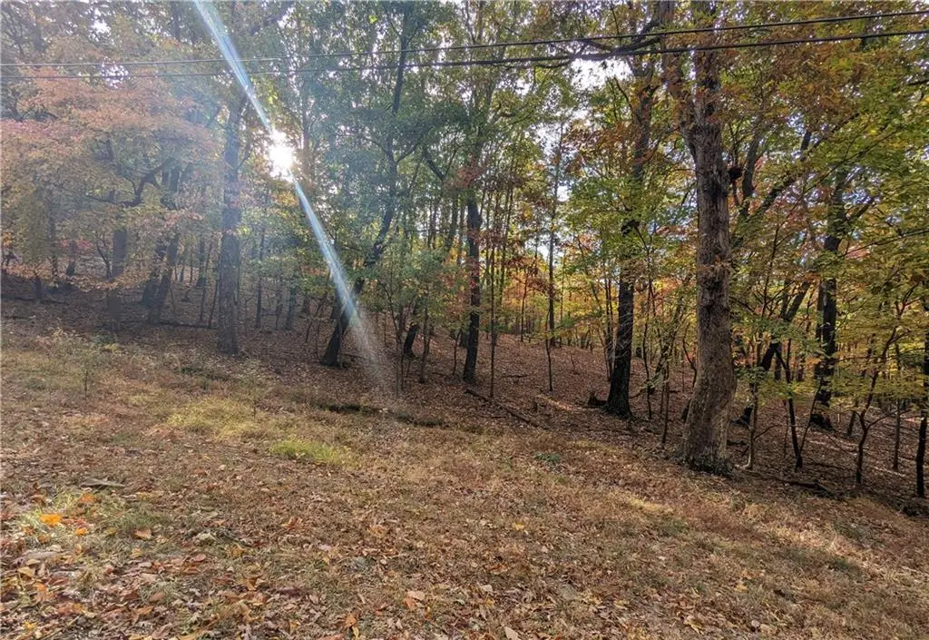 0 Oglethorpe Mountain Road, Jasper, GA 30143 - #1