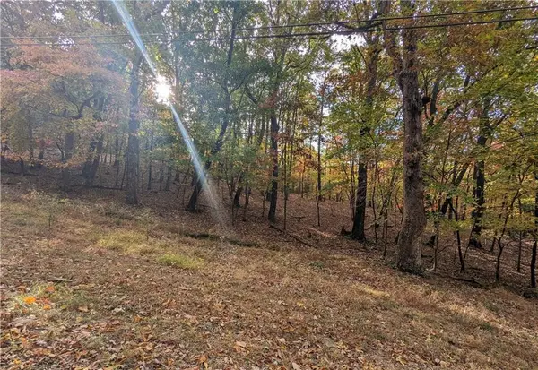 0 Oglethorpe Mountain Road, Jasper, GA 30143