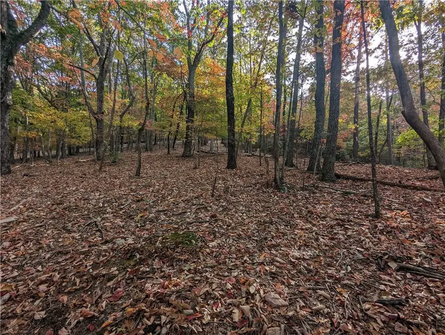 0 Oglethorpe Mountain Road, Jasper, GA 30143 - #3