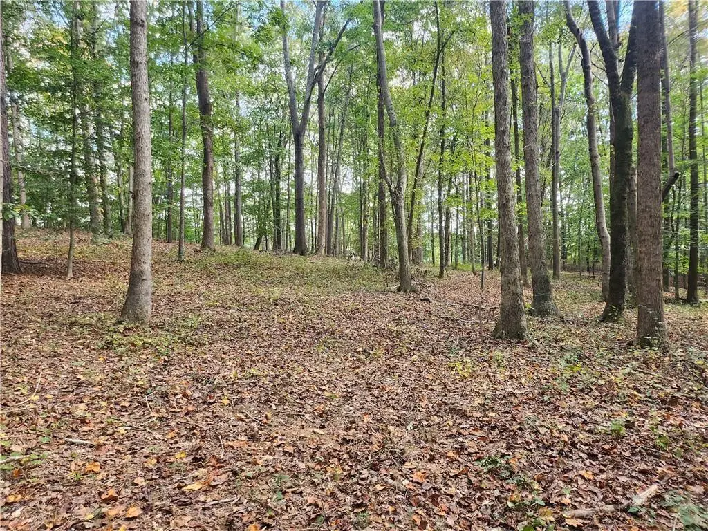 7680 East Cherokee Drive, Canton, GA 30115 - Image #1