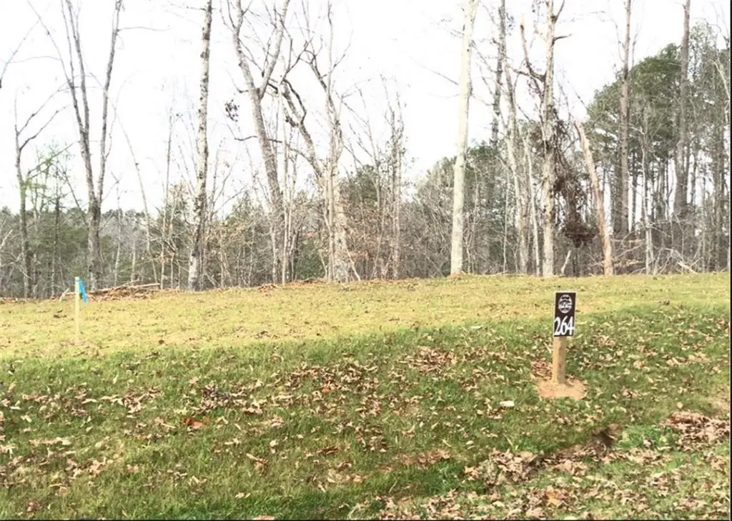 264 High River Crossing, Ellijay, GA 30540 - Image #1