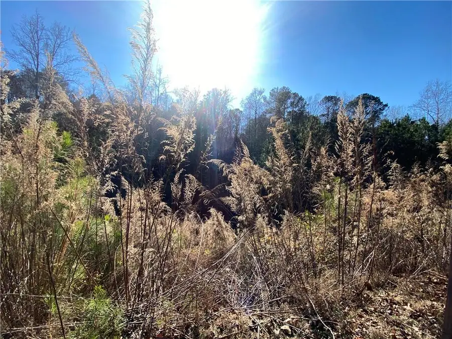 405 Trumpet Circle, Canton, GA 30114 - #3