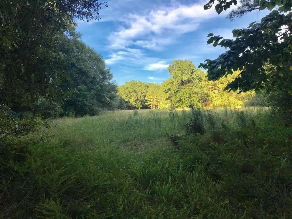 0 Lawshe Farm Dr, Senoia, GA 30276 - Image #1