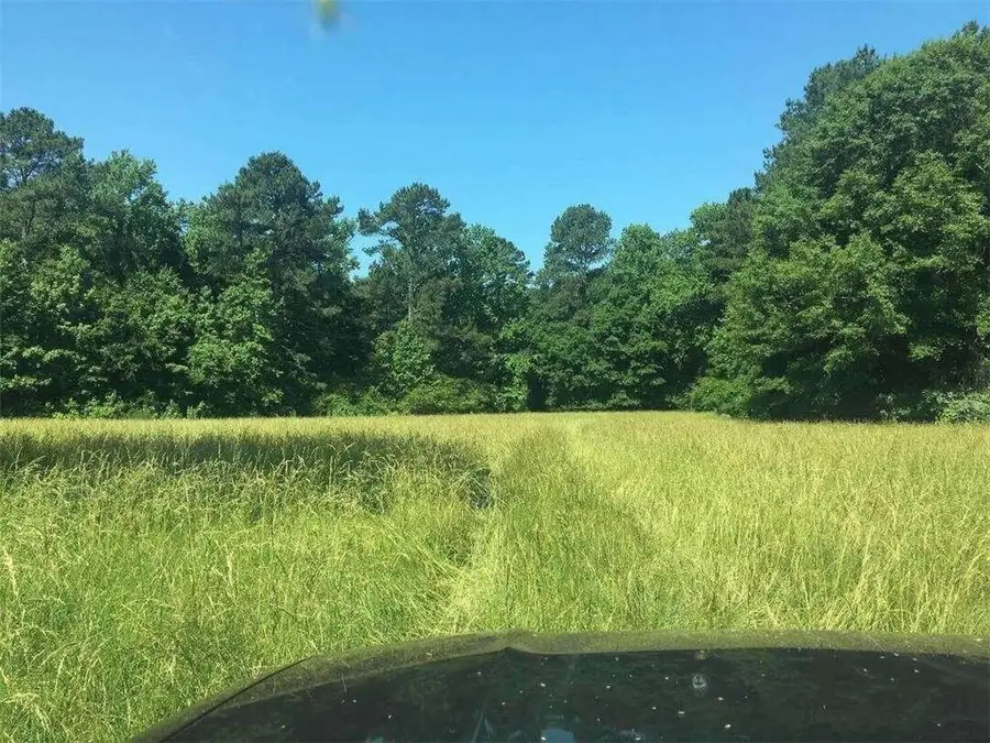 0 Lawshe Farm Dr, Senoia, GA 30276 - Image #2