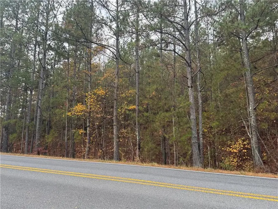 000 Mcbrayer Road, Temple, GA 30179 - Image #2