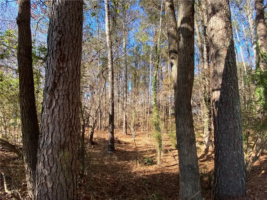 0 Black Oak Trail, Woodstock, GA 30189 - Image #3