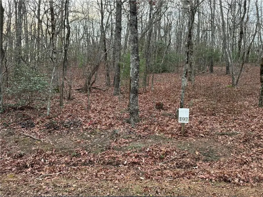 0 Saint Andrews Way, Ellijay, GA 30536 - Image #2