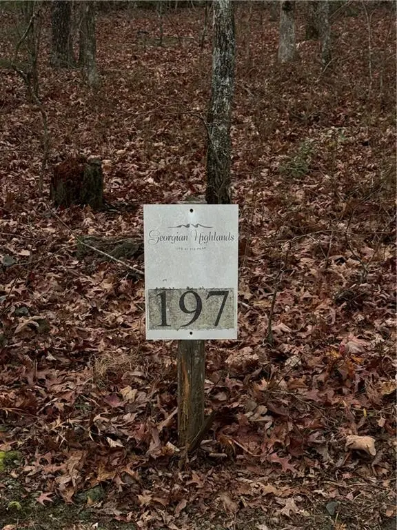 0 Saint Andrews Way, Ellijay, GA 30536 - Image #3