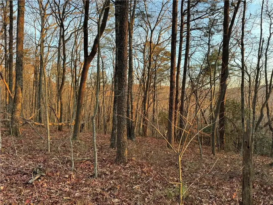0 Highpointe Trail, Ellijay, GA 30536 - Image #2