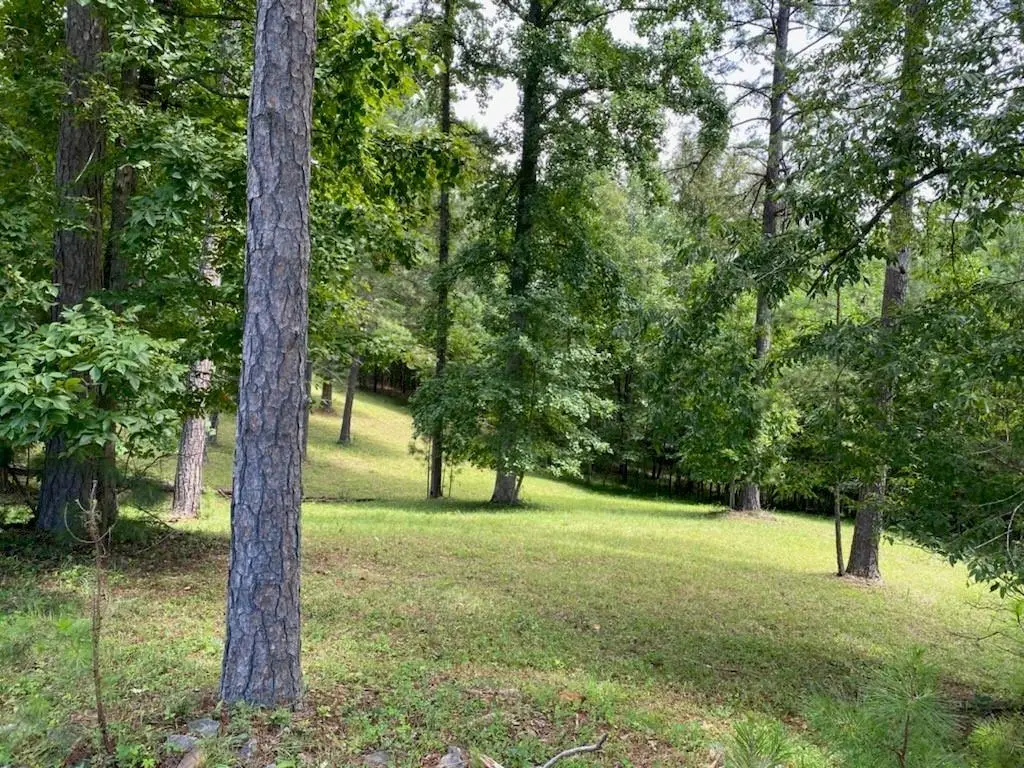 136 Fox Lake Subdivision Road, Blairsville, GA 30512 - Image #1