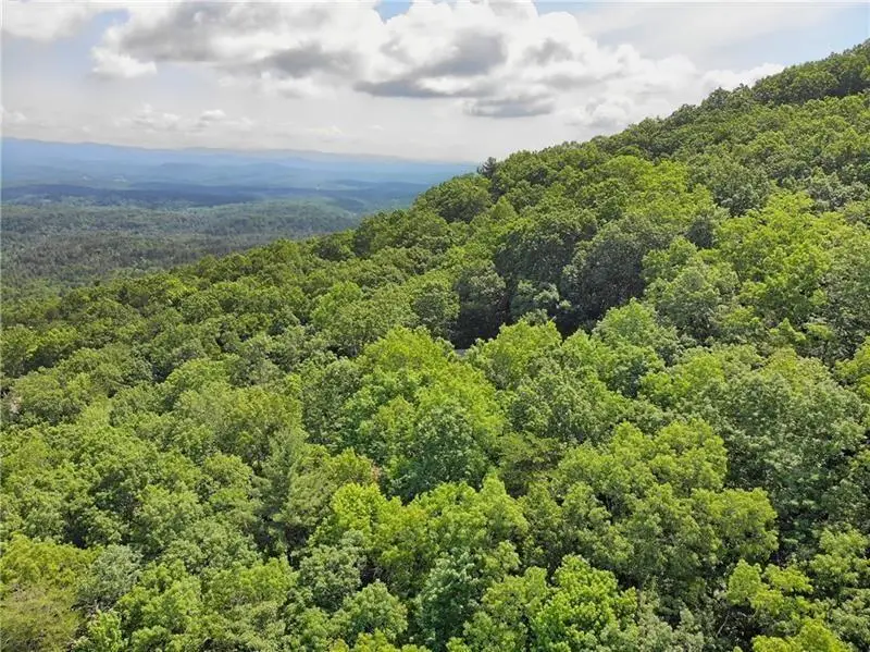 3023 Wild Turkey Bluff, Big Canoe, GA 30143 - Image #2