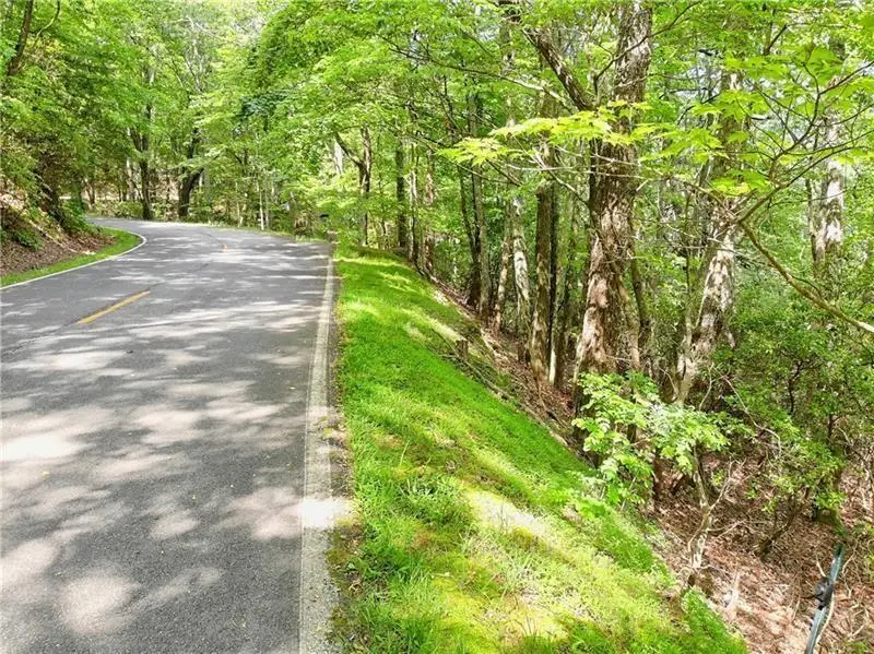 3023 Wild Turkey Bluff, Big Canoe, GA 30143 - Image #3