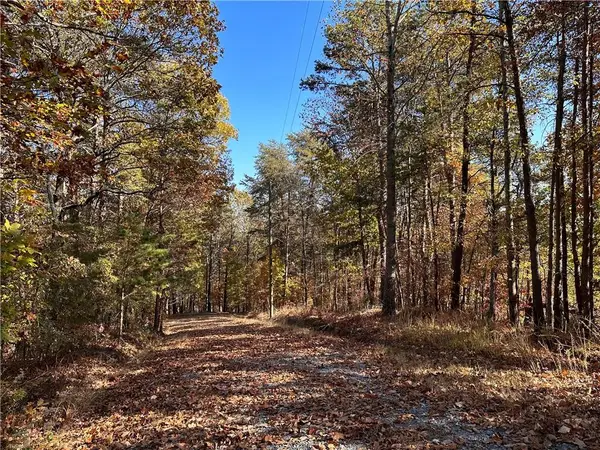 1334 Birch Lane, Ranger, GA 30734