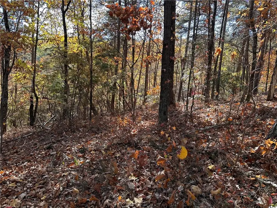 1334 Birch Lane, Ranger, GA 30734 - Image #3