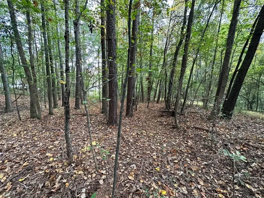 00 Villa Rica Highway/highway 61, Dallas, GA 30157 - #2