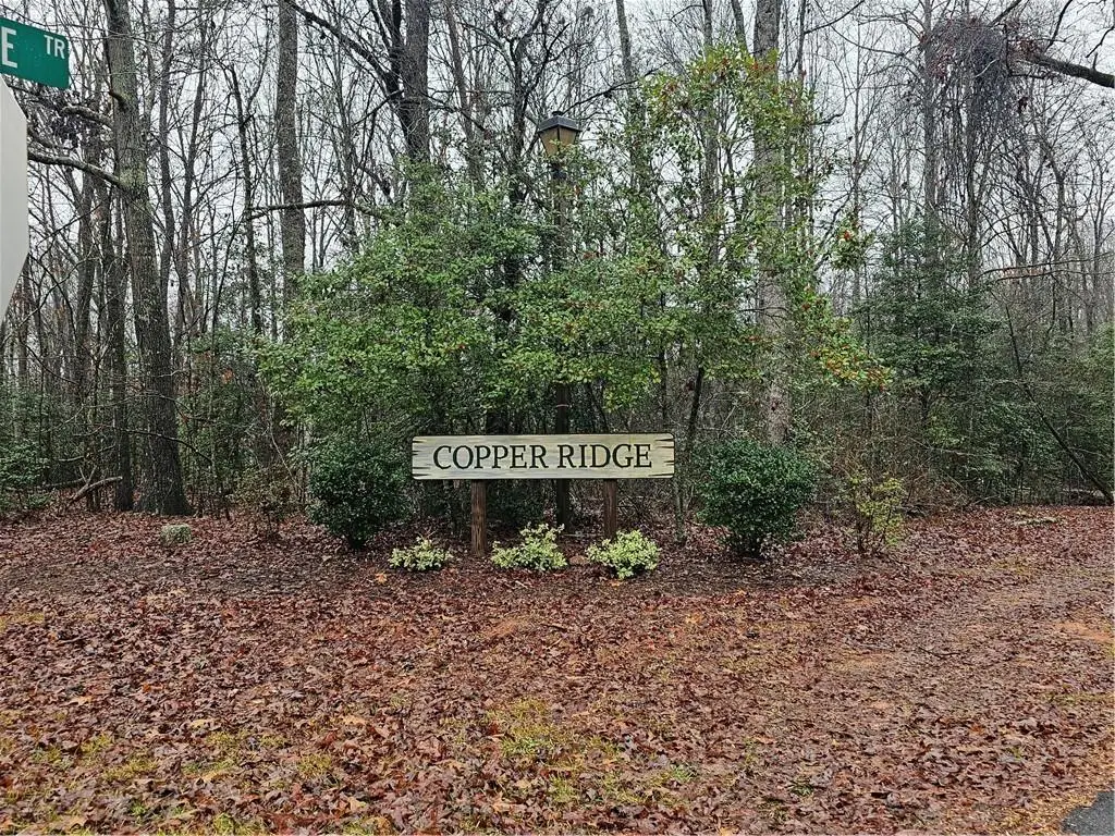 TBD Lake Point Drive, Dahlonega, GA 30533 - Image #1