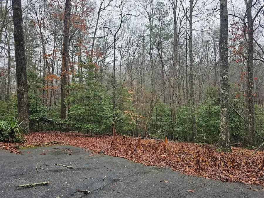 TBD Lake Point Drive, Dahlonega, GA 30533 - Image #2
