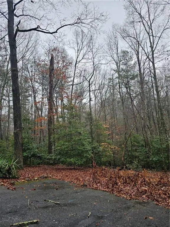 TBD Lake Point Drive, Dahlonega, GA 30533 - Image #3