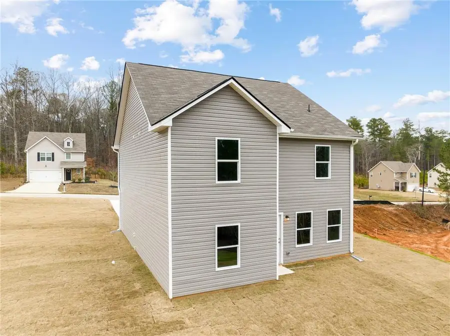 253 Brookwood Crossing, Douglasville, GA 30134 - Image #3