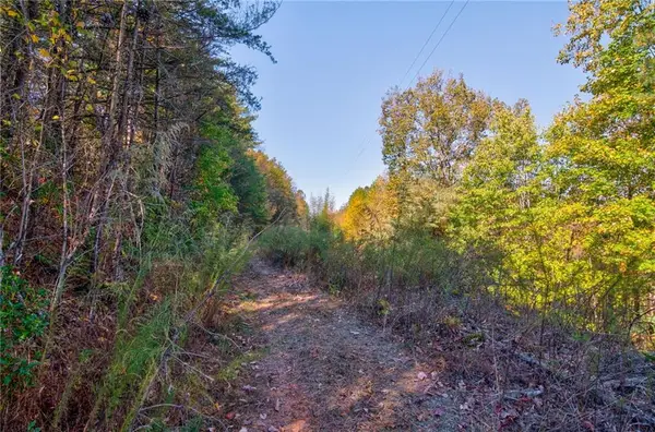 0 Flagpole Circle, Ellijay, GA 30540