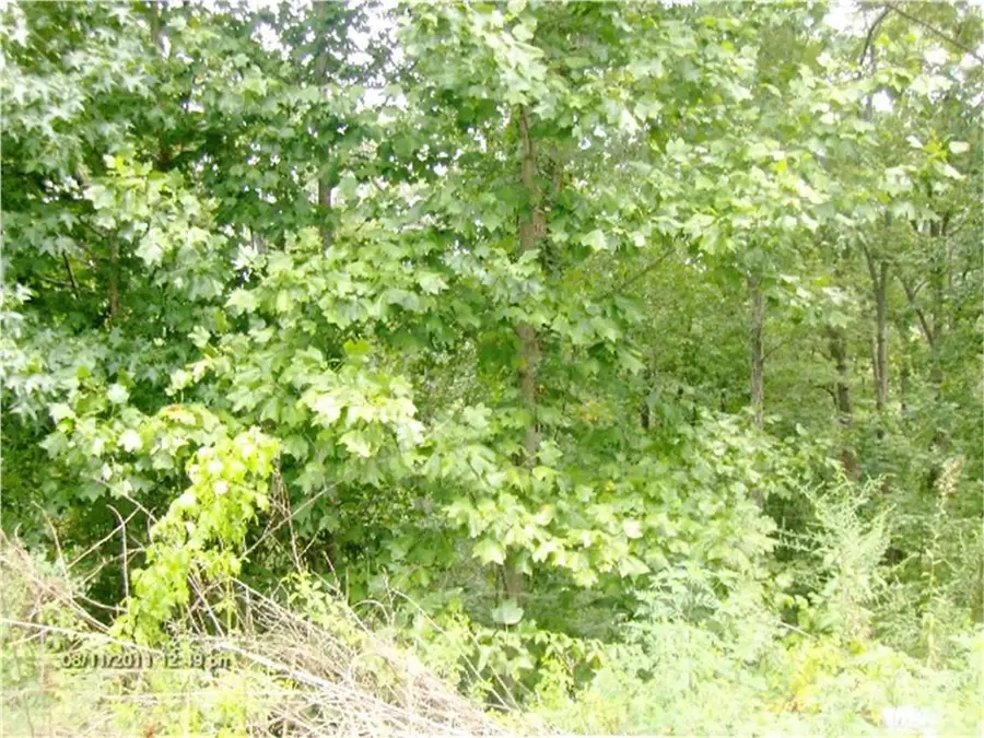 0 Etowah Ridge, Ringgold, GA 30736 - Image #2