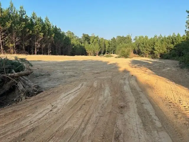 0 Steadman Road, Tallapoosa, GA 30176 - Image #2