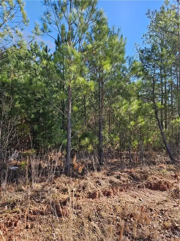 2567 Gees Mill Road Ne, Conyers, GA 30013 - Image #2