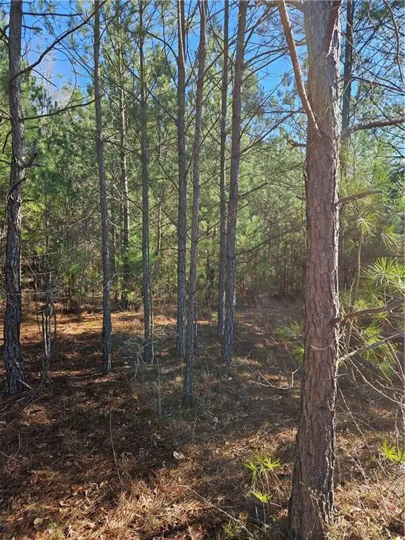 2567 Gees Mill Road Ne, Conyers, GA 30013 - Image #3