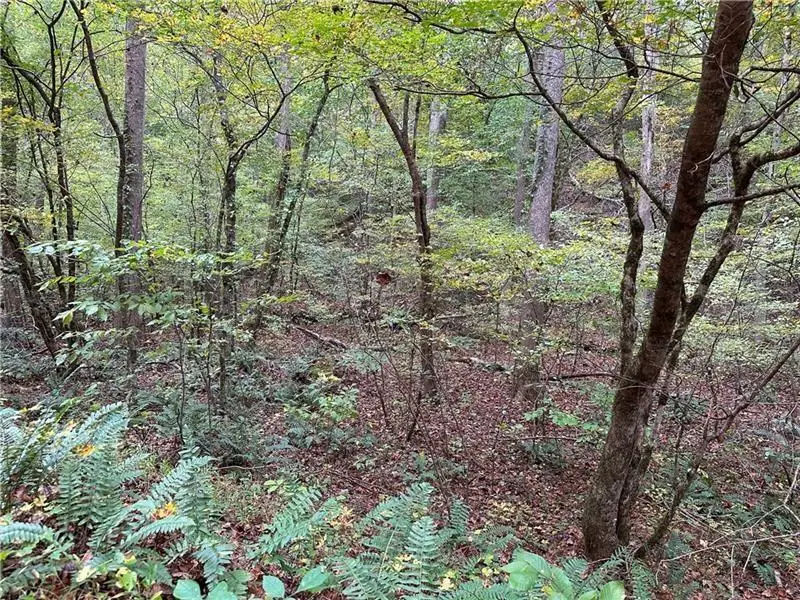 854 Albus Court Ne, Ranger, GA 30734 - Image #1