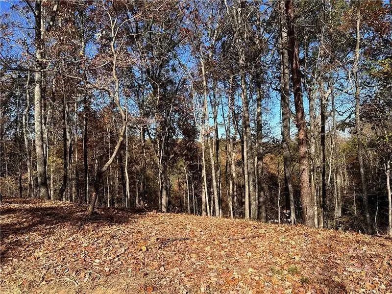 108 Adair Drive, Ranger, GA 30734 - Image #2