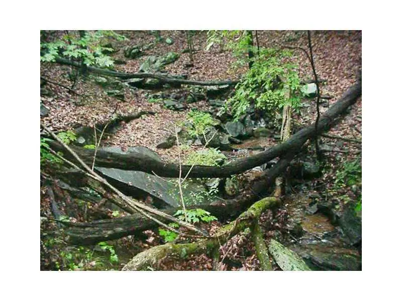 1108 Oglethorpe Mountain Road, Jasper, GA 30143 - #3