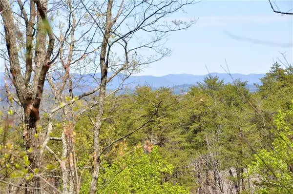 5533 Red Fox Court, Big Canoe, GA 30143