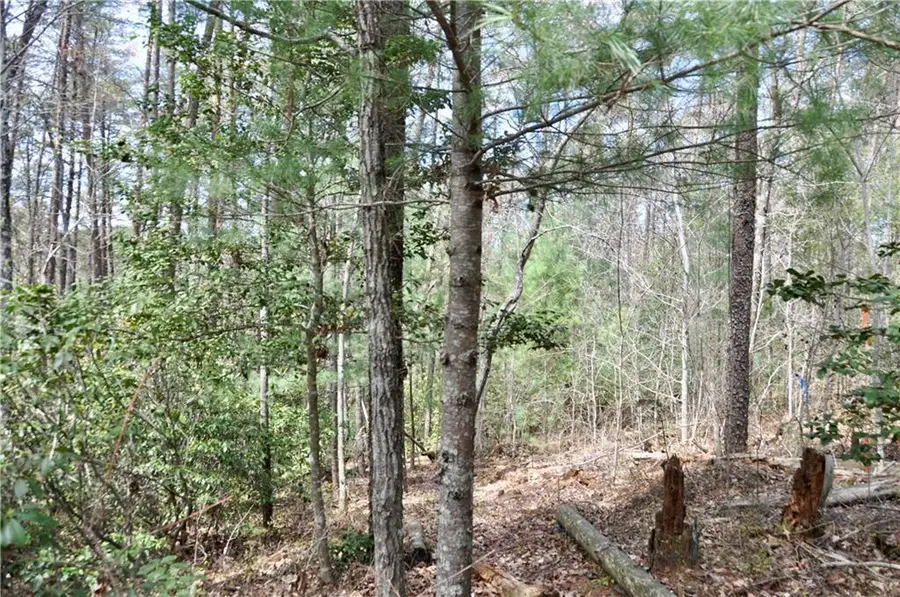 5533 Red Fox Court, Big Canoe, GA 30143 - #2